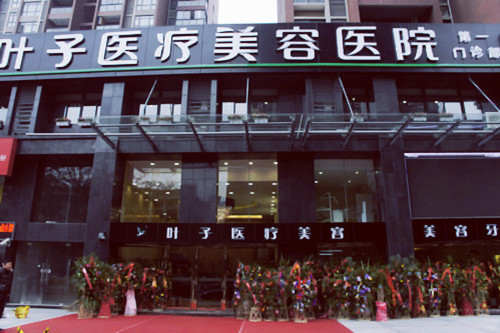 叶子医疗美容医院，重塑美丽的艺术殿堂