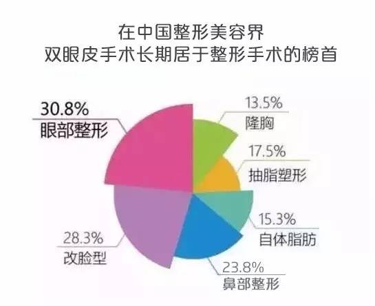 公司简介 第261页