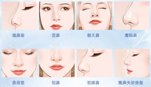 联系我们 第250页