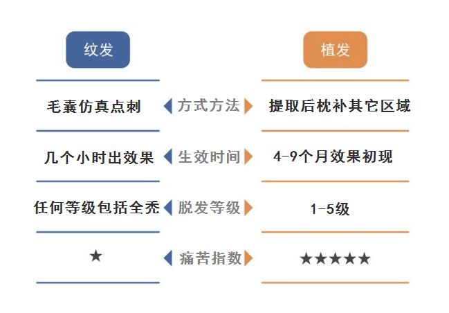 工商信息 第241页