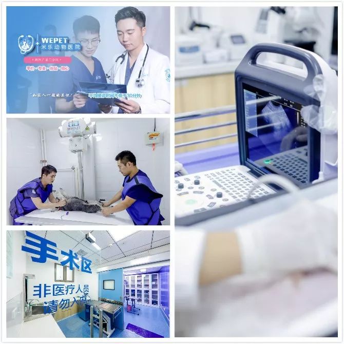 深入了解463整形医院，专业、贴心、引领时尚