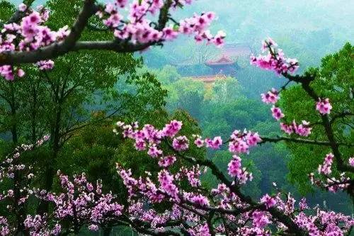 无锡美容，绽放美丽的源泉