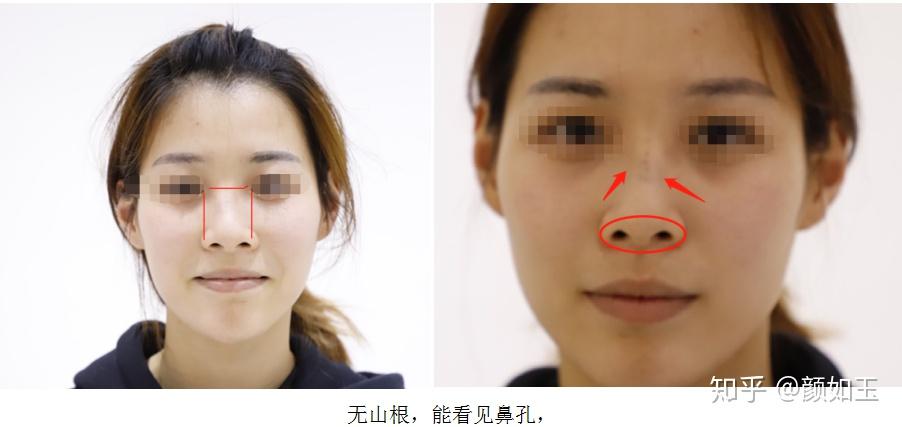 体彩排列五走势图公告，探索数字世界的奥秘