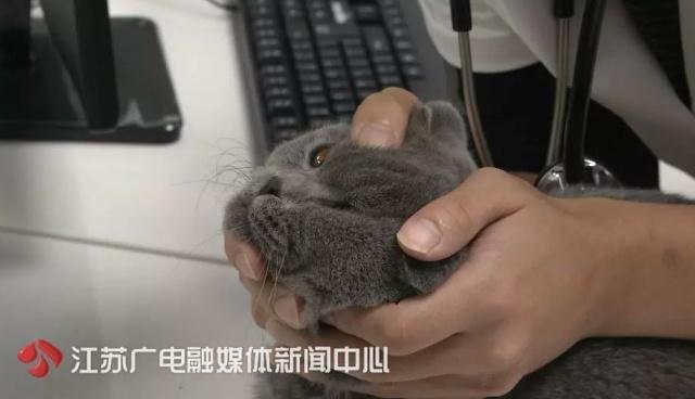 北京割双眼皮，时尚选择背后的专业考量与指南