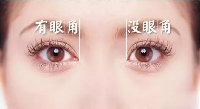 工商信息 第227页