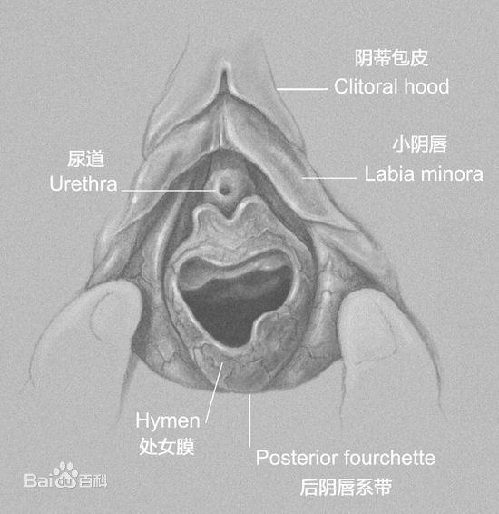 处女膜整形医院的探索与理解