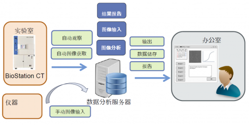 探索先进的3D走势图，专业版17500的奥秘与优势