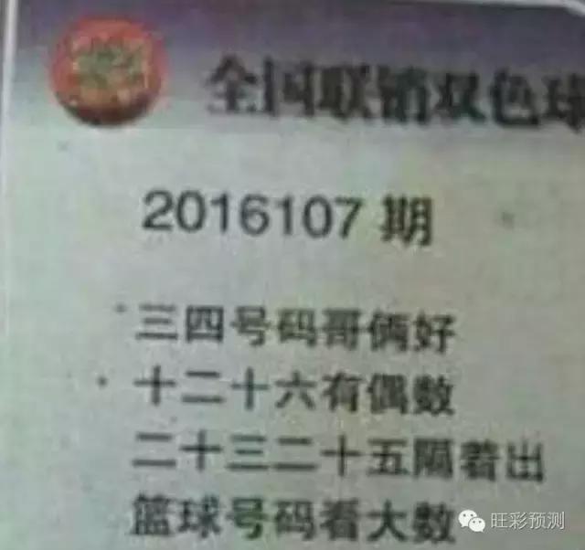 双色球字谜总记，揭秘神秘彩票世界的字谜奥秘