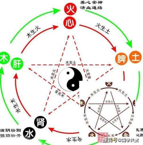 吉林十一选五重号走势图，探索与解析