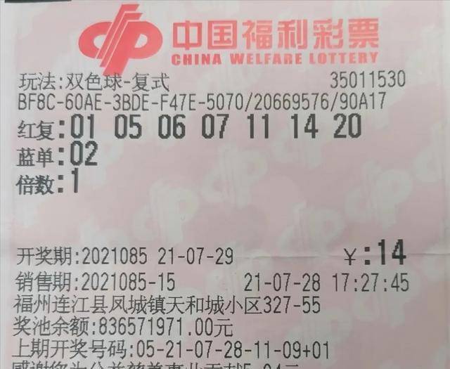 福建体彩网彩民论坛首页，探索与分享