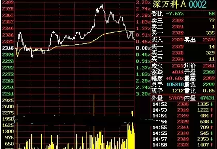 如何查看股票走势图，入门指南与高级技巧