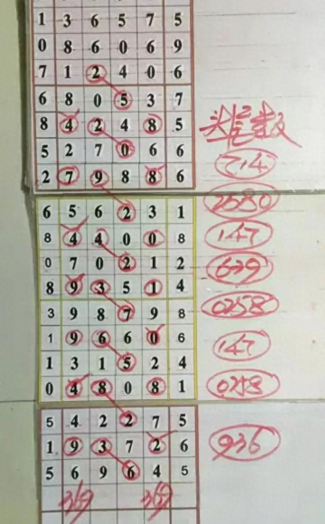 排列5全部开奖结果揭晓，幸运之星的璀璨瞬间