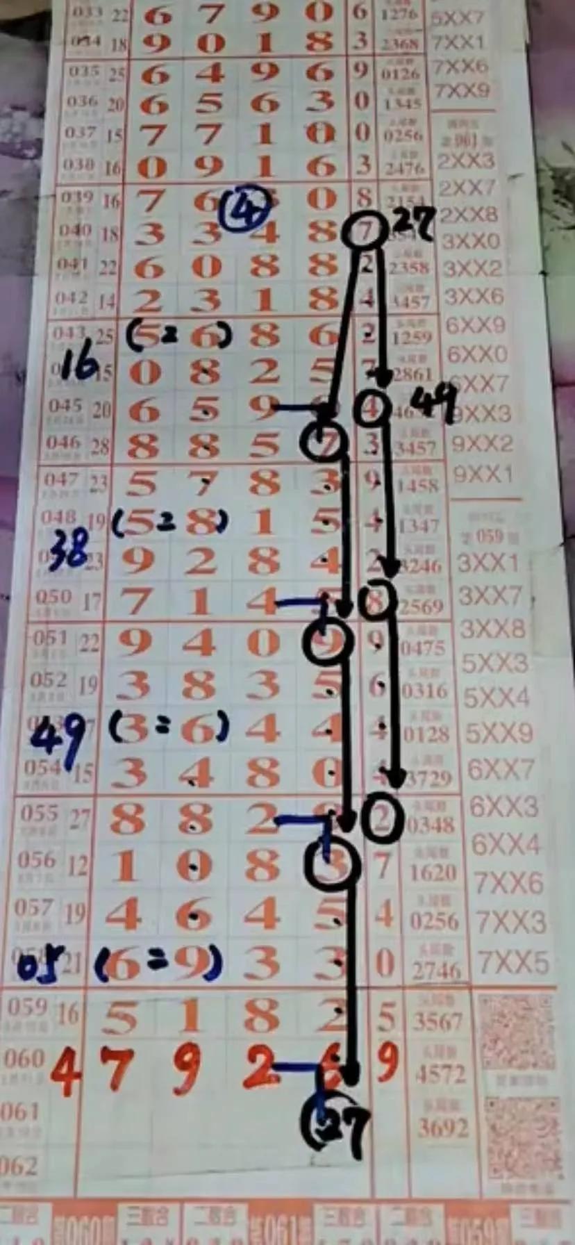 江苏体彩11选五走势图表，探索与解析