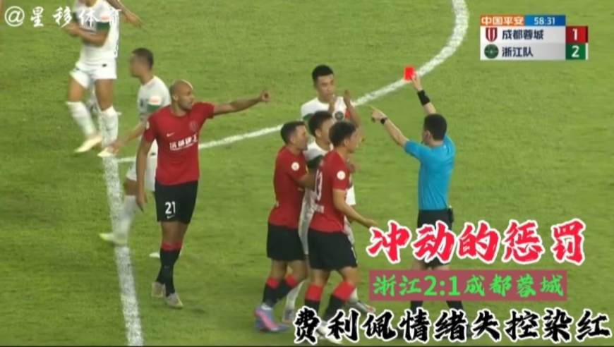 公司简介 第225页