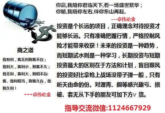 独胆两天计划王，策略、勇气与智慧的象征