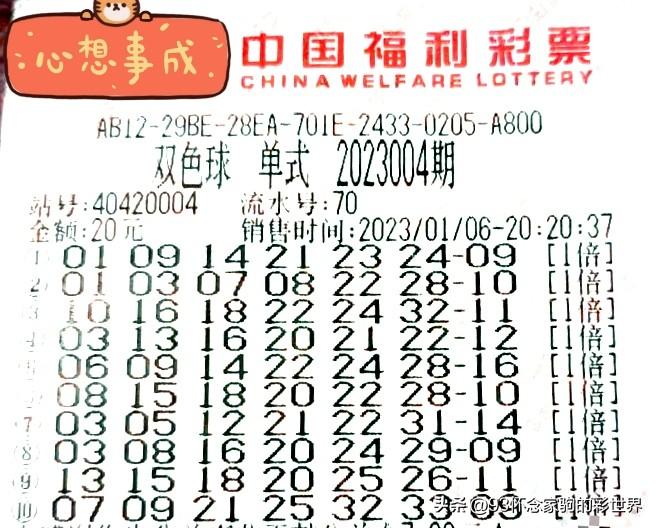 双色球大全下载，探索彩票世界的无尽魅力
