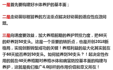 独胆稳准狠，探索成功的关键要素