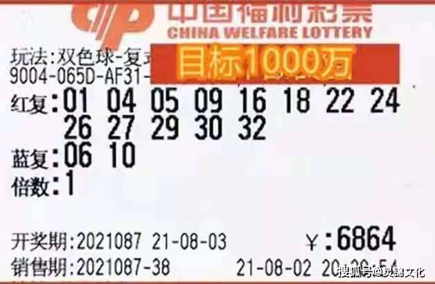 双色球彩票的魅力，揭秘第24088期晒票背后的故事