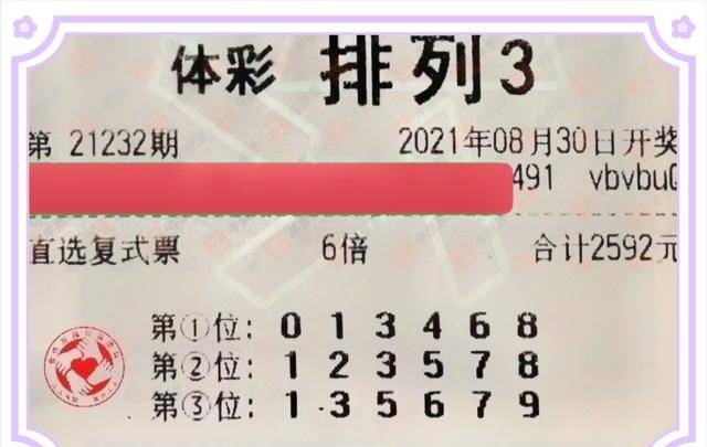 揭秘3D彩票开奖时刻，探索幸运之门的关键点