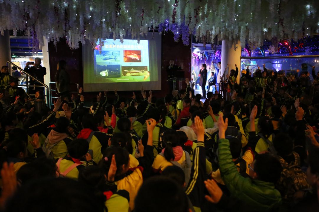 探索澳门彩票文化，2023年今晚开奖的奥秘与期待