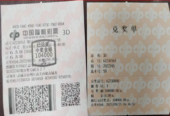 福彩3D千禧试机号金码关注码167的魅力与探索