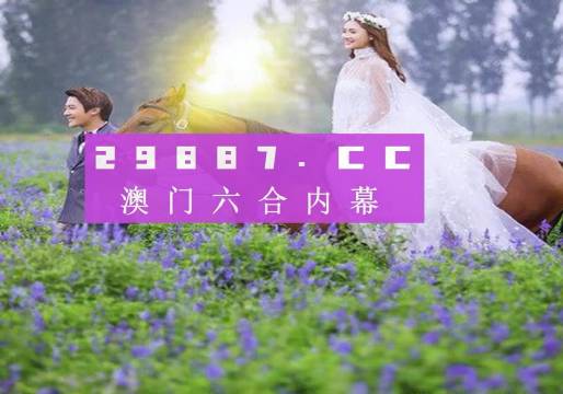 香港最准王中王免费资料，揭秘与探索