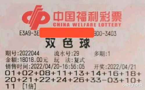 彩易福彩3D今日正版藏机图，揭秘彩票背后的神秘与魅力