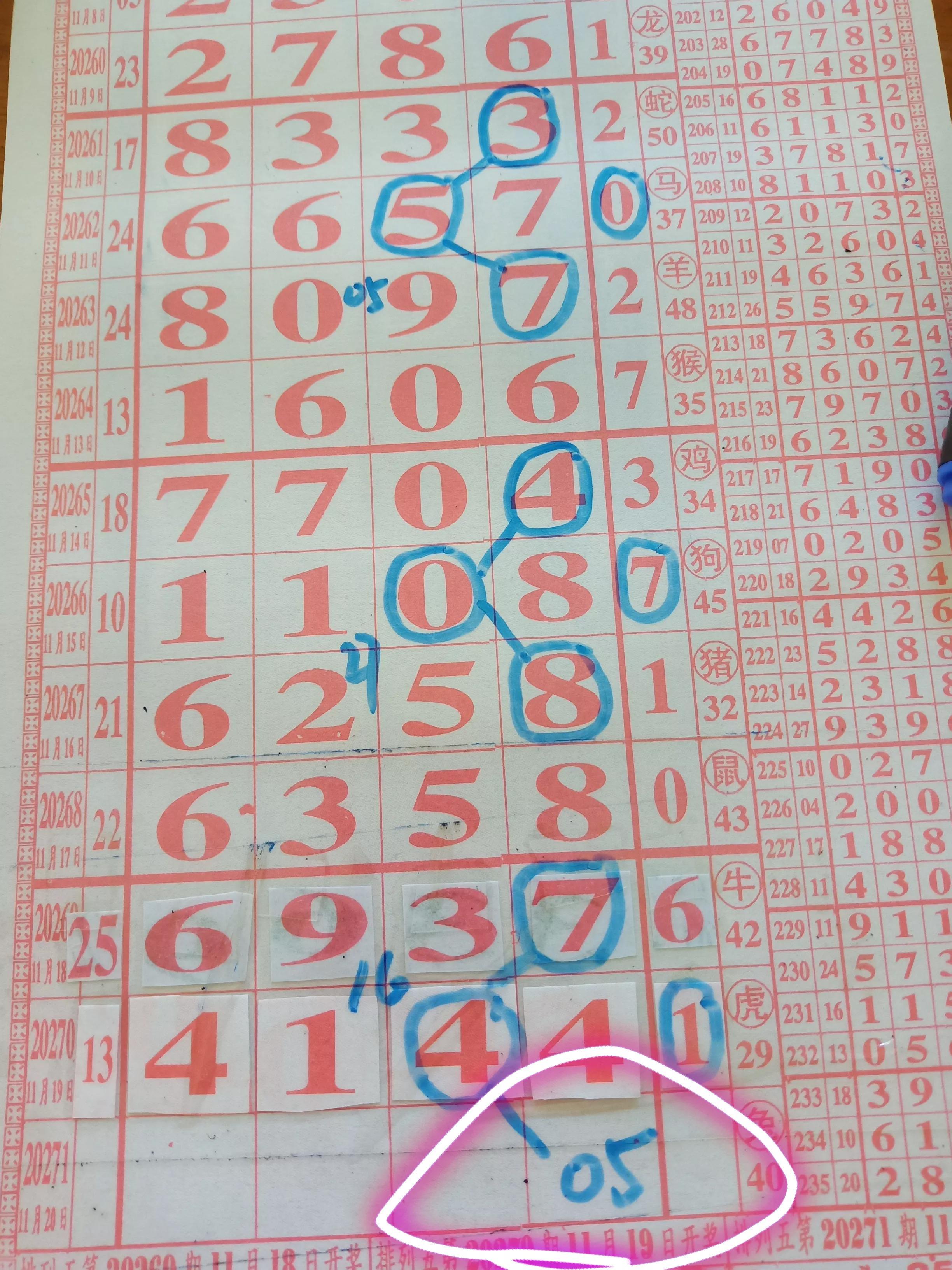 排列五最新开奖号，探索数字世界的奥秘与惊喜