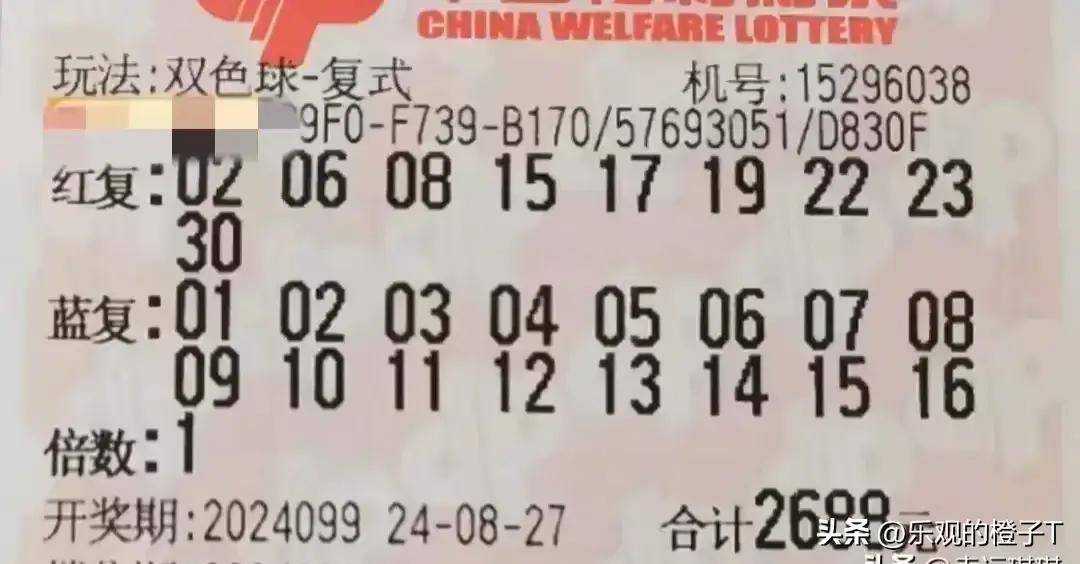 双色球第100期开奖结果揭晓，幸运数字的神秘魅力