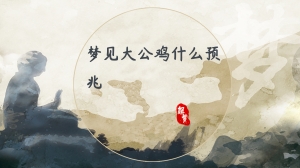 大公鸡解梦大全查梦册下载，探索梦境的指南