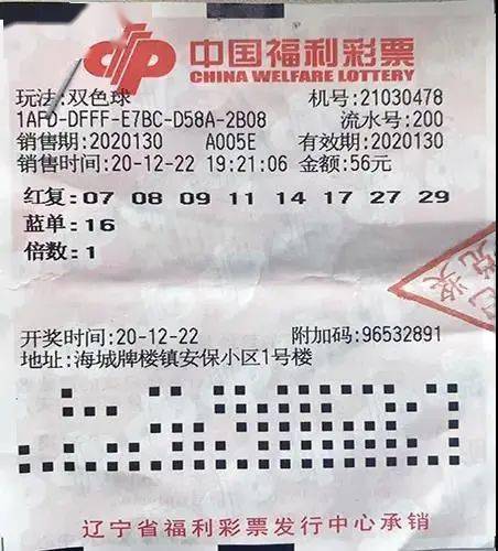 双色球走势图浙江风采网——探索彩票世界的奥秘与魅力