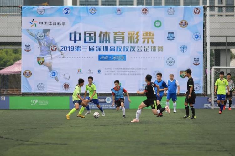 深圳市福利彩票官网，探索彩票文化的魅力与公益价值