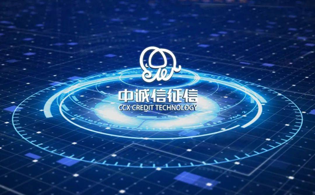 公司简介 第202页