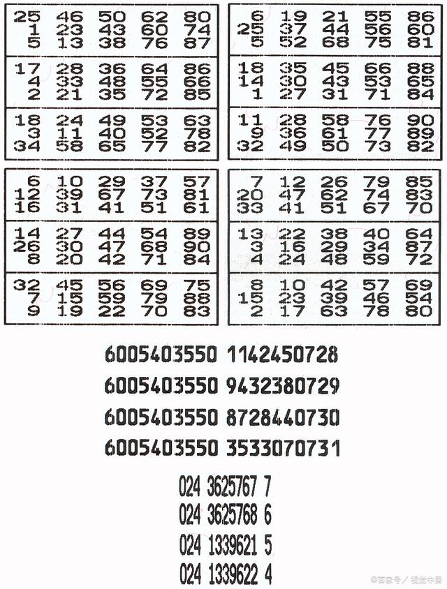 探索神秘的3D字谜世界，BBS 17500论坛的独特魅力