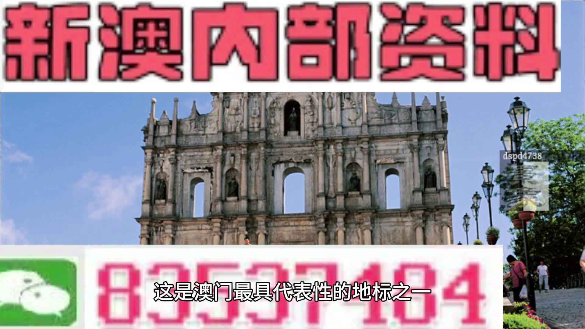 新澳门历史记录查询十五期，探索与发现