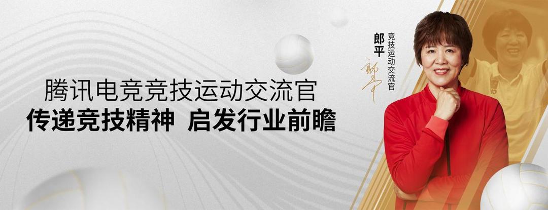 足球彩票新浪，探索数字时代的体育彩票新纪元