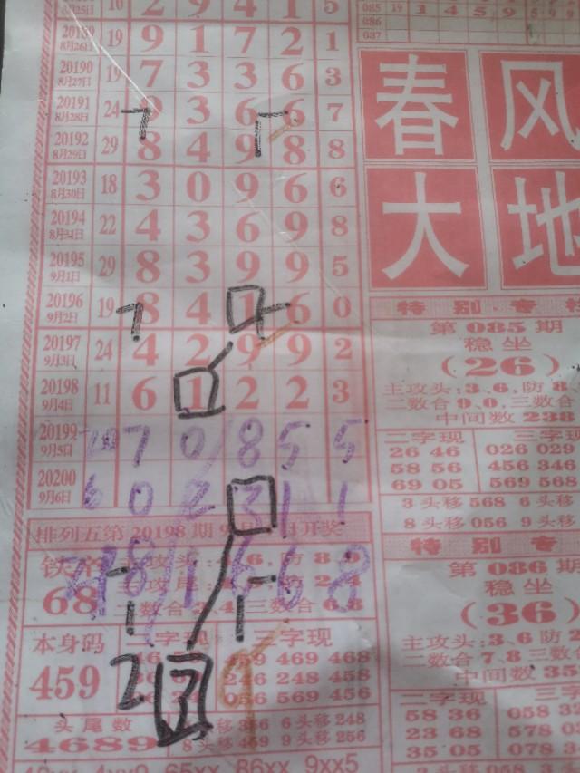彩票查询，排列五今晚开什么
