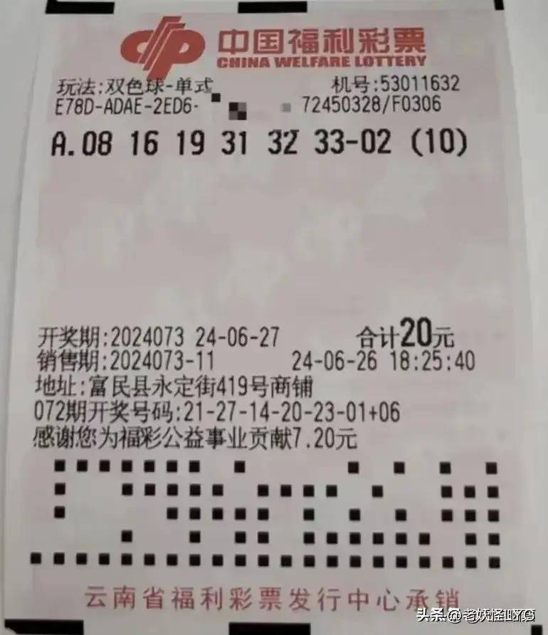双色球彩票，揭秘8+2投注的魅力与价格