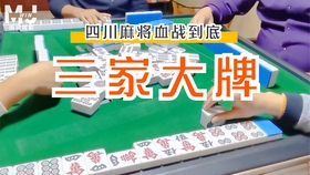四川省快乐12开奖结果，激情与期待的交汇点