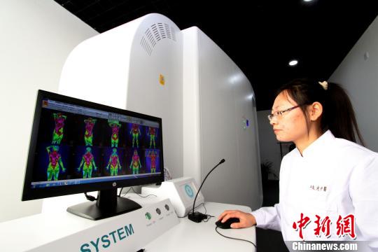 河南省体彩481走势图，探索与解读