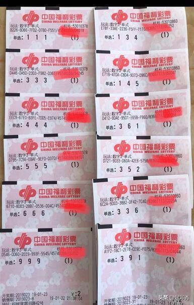 今日3D开奖号码排列三，揭秘彩票背后的秘密与期待