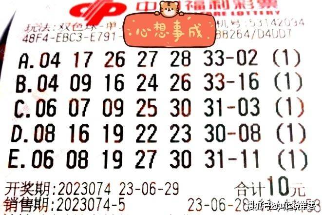 经营范围 第174页