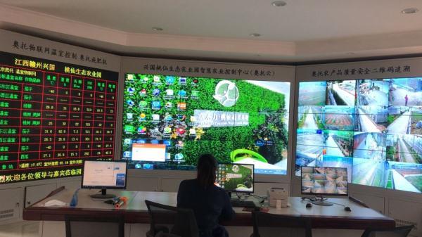揭秘360开奖结果，全国开奖的奥秘与魅力