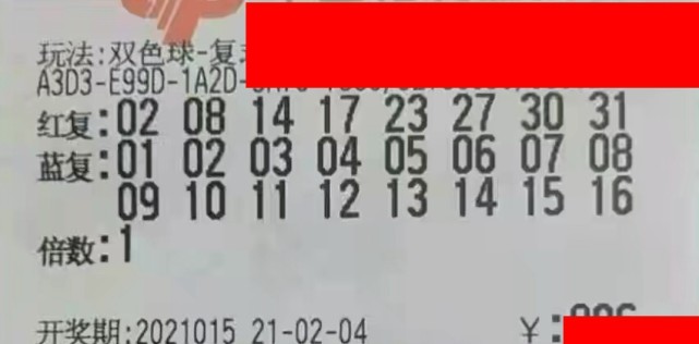 今日特马开奖结果，揭晓幸运与期待