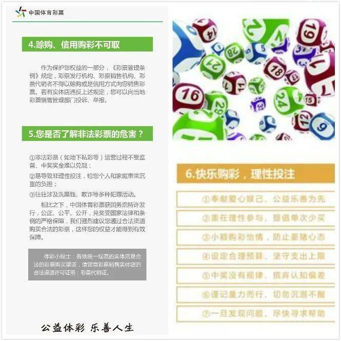 玩彩小红人独胆福彩，揭秘彩票背后的故事