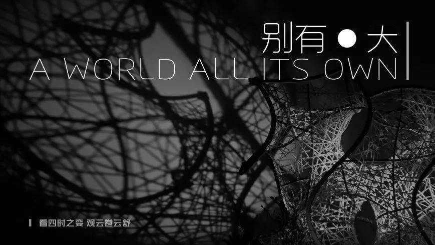 探索排列3与太湖字谜的神秘面纱