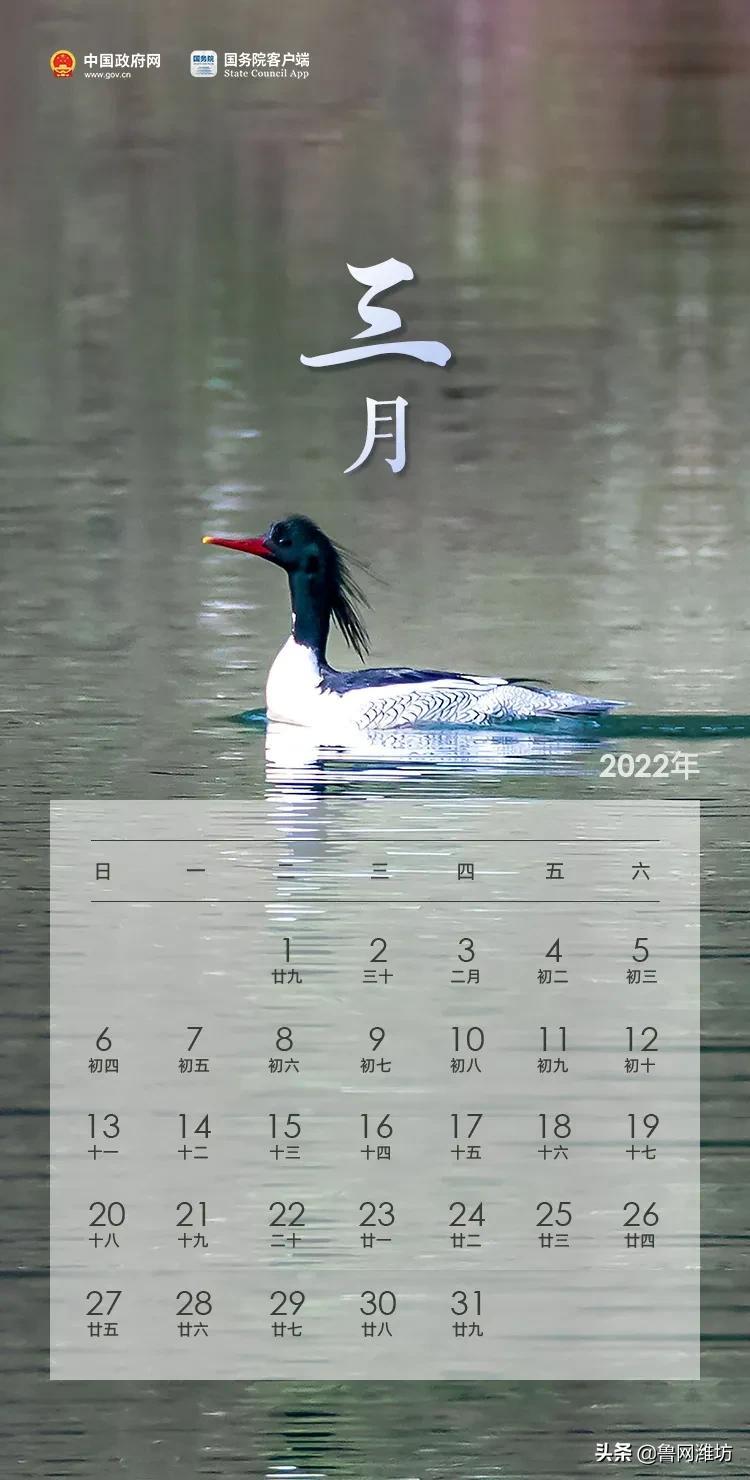 影响分析