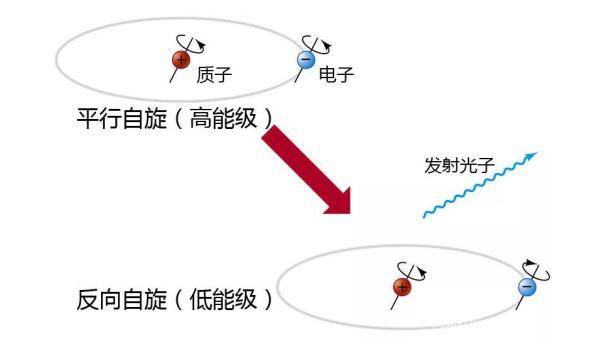 探索未知领域，数字组合的秘密与万能胆的启示