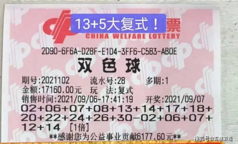 双色球复式彩票，探寻本期开奖号码的秘密