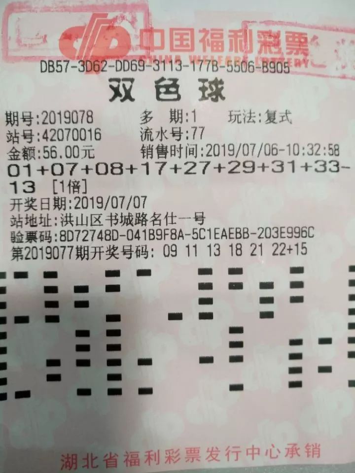 双色球综合走势图中彩彩民网——探索彩票世界的智慧与策略